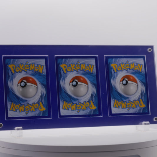 3 Card Display - Purple